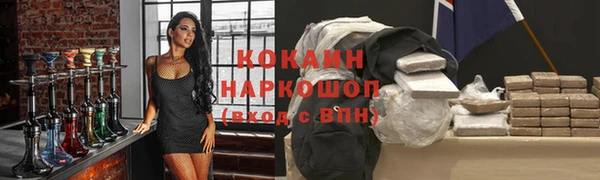 ГАЛЛЮЦИНОГЕННЫЕ ГРИБЫ Белокуриха