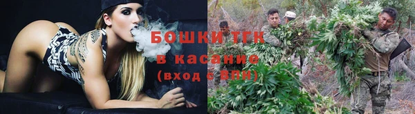 PSILOCYBIN Алексеевка