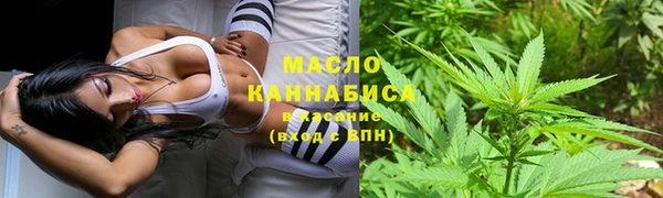 ГАЛЛЮЦИНОГЕННЫЕ ГРИБЫ Белокуриха