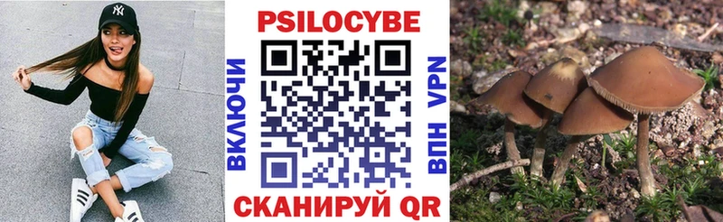 Галлюциногенные грибы GOLDEN TEACHER  omg ТОР  Петропавловск-Камчатский 